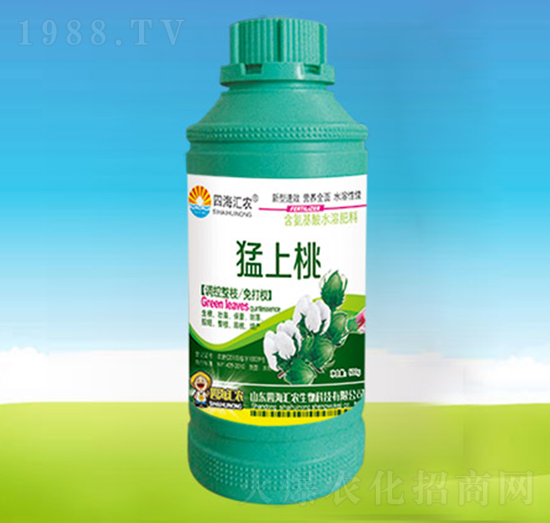 猛上桃-四海匯農(nóng)