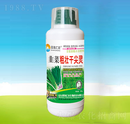 韭菜粗壯干尖靈-四海匯農(nóng)