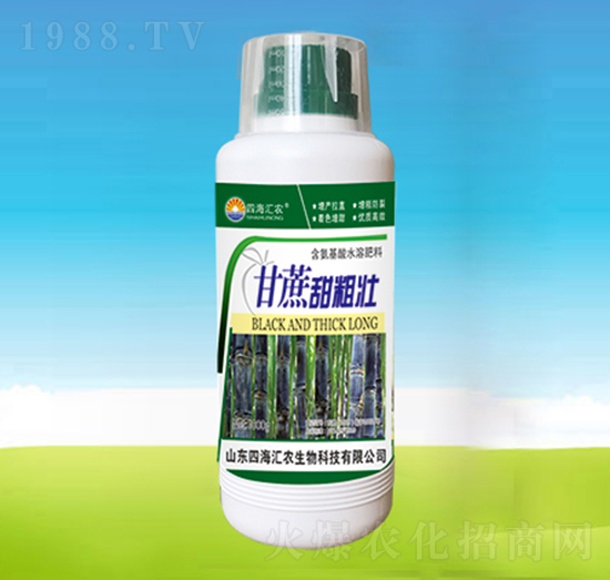 甘蔗甜粗壯-四海匯農(nóng)