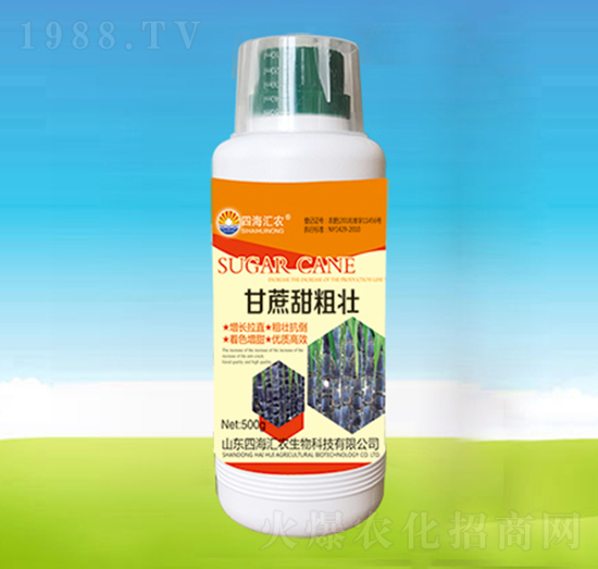 20kg甘蔗甜粗壯-四海匯農(nóng)