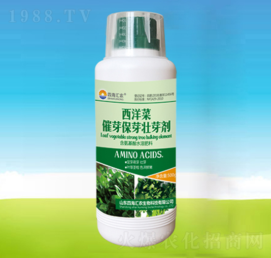 西洋菜催芽保芽壯芽劑-四海匯農(nóng)