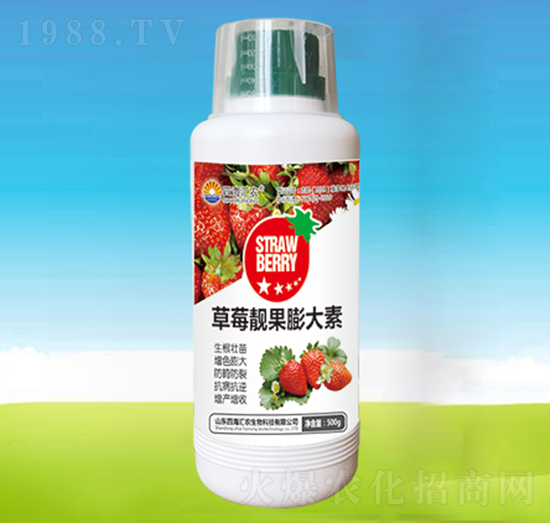 草莓靚果膨大素-四海匯農(nóng)