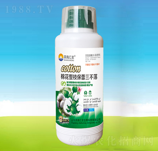 棉花整枝保蕾三不落-四海匯農