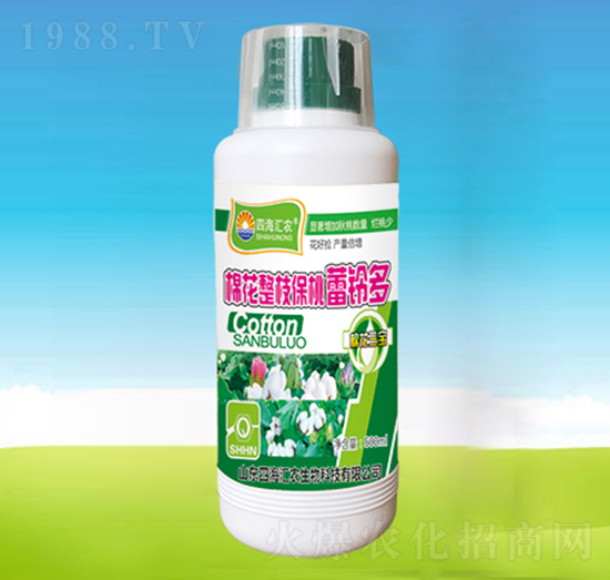 棉花整枝保桃蕾鈴多-四海匯農