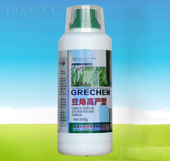 豆角高產(chǎn)型-四海匯農(nóng)