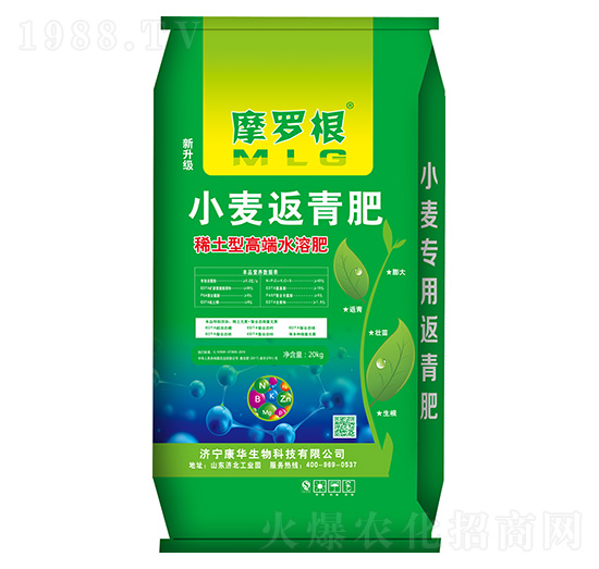 С�������-Ħ�_��-���A����