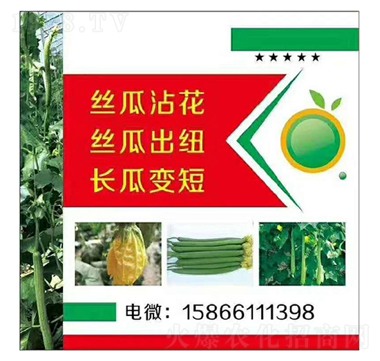 �z�����L��մ��׃�̳��~-�����r(n��ng)�I(y��)