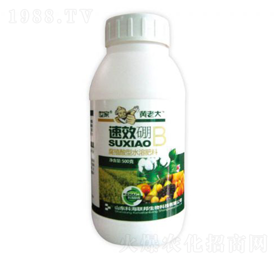 ��-�S�ϴ�-�ƺ���