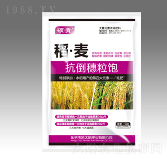 抗倒穗粒飽-稻·麥-金太陽肥業(yè)