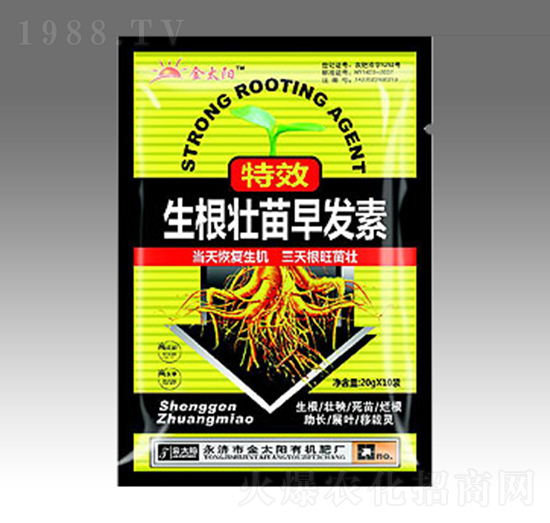 ����������l(f��)��-��̫ꖷʘI(y��)