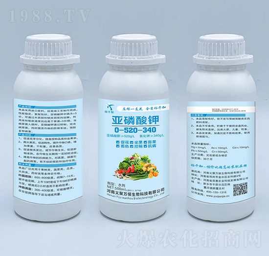 �������0-520-340-�x���f��