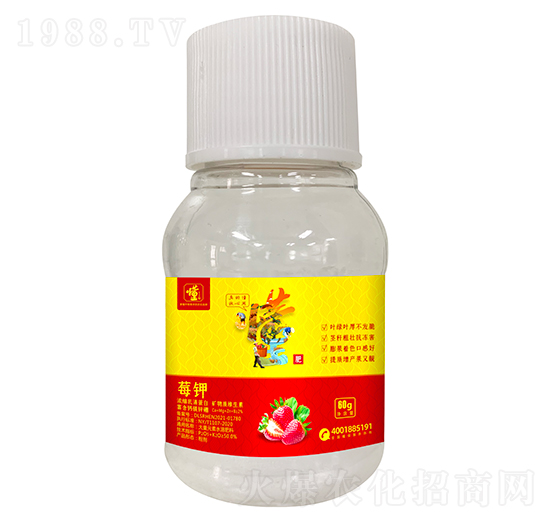 ��ݮ��������a(ch��n)Ʒ-ݮ�-���ý�