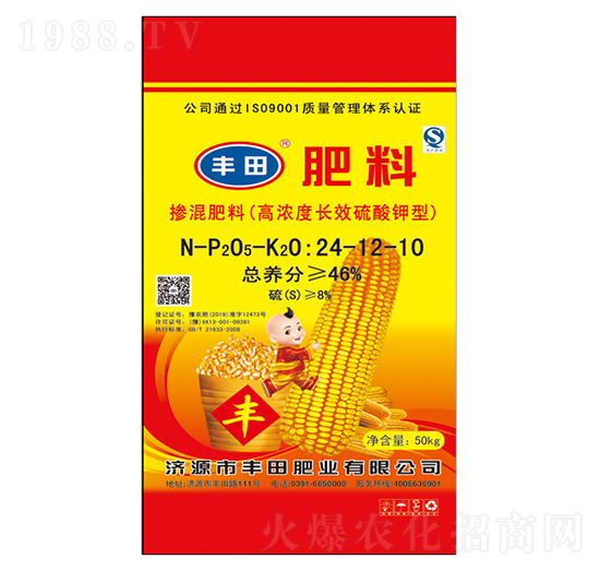 �ߝ�ȼ��\�LЧ������͓������24-12-10-�S��ʘI(y��)