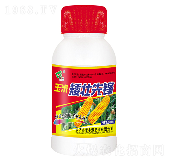 玉米矮壯先鋒-禾豐源肥業(yè)