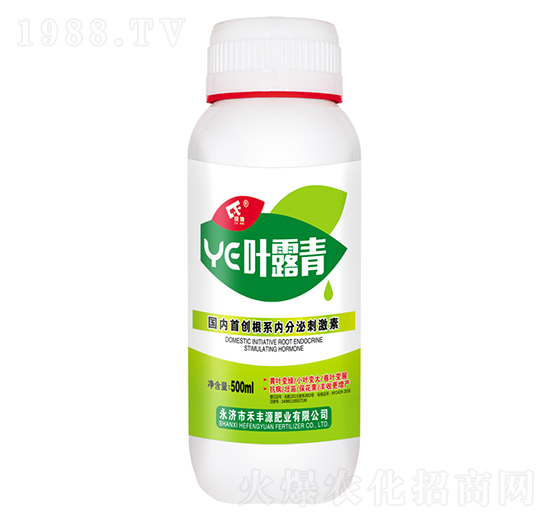 葉露青-禾豐源肥業(yè)