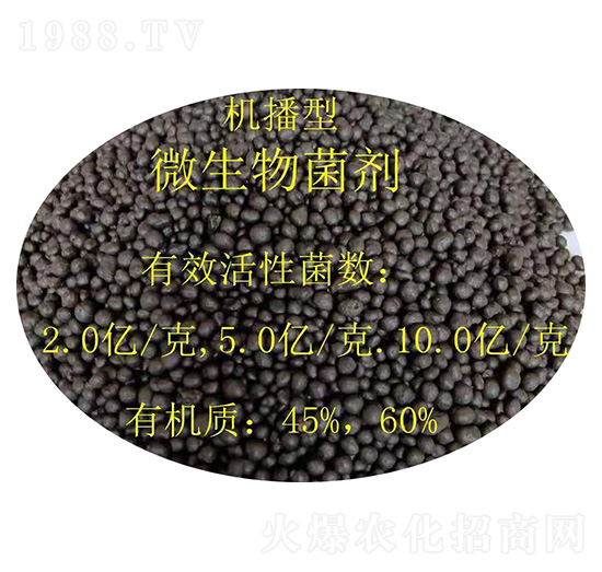 �C(j��)����΢�������-�𝙰l(f��)����