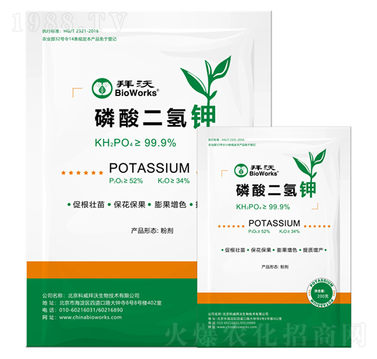 ��������-����