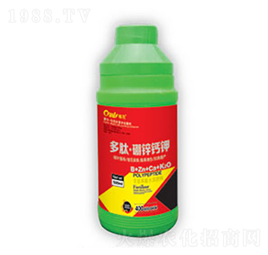 ���ġ����\�}�-�|����(r��n)��