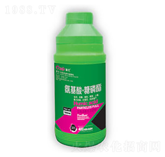 �����ᡤ������-�|������