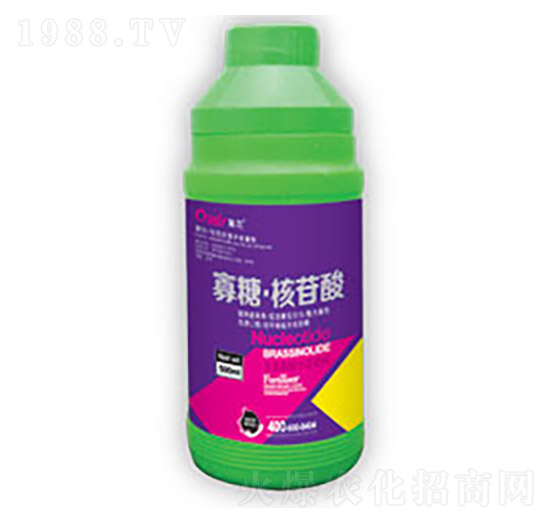 ���ǡ�������-�|������