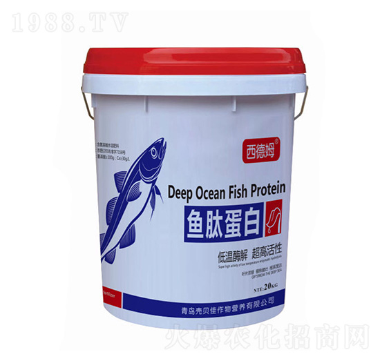 ����ķ���~(y��)�ĵ���-��ؐ��