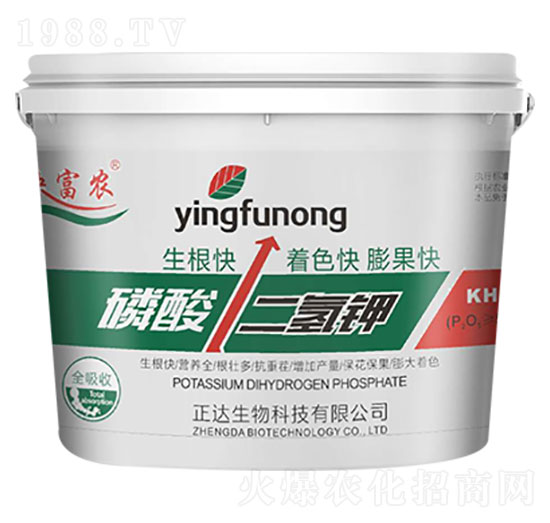 ��������-ӳ���r-���_����