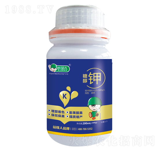 �Ǵ��-������-�����