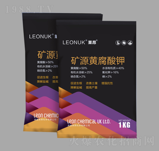 �VԴ�S�����-�R�����W