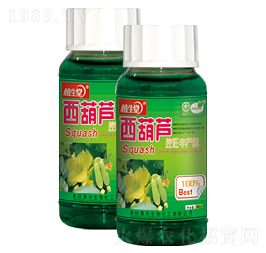 西葫蘆控旺增產(chǎn)素 植生堂 萊利生物