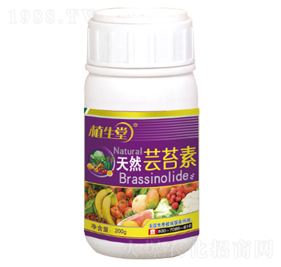 天然蕓苔素 植生堂 萊利生物