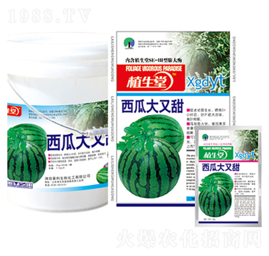 西瓜大又甜 植生堂 萊利生物