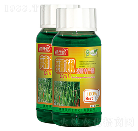 辣椒控旺豐產(chǎn)素 植生堂 萊利生物