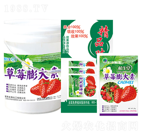 草莓膨大素 植生堂 萊利生物