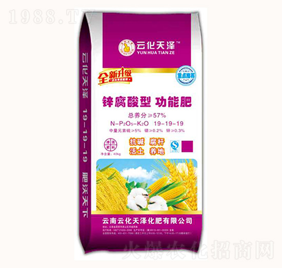 �\�����͹��ܷ�19-19-19-�ƻ����