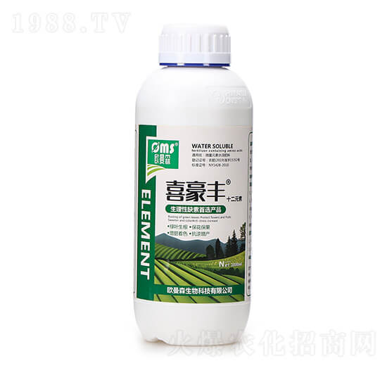 ʮ��Ԫ��-ϲ���S-�W��ɭ