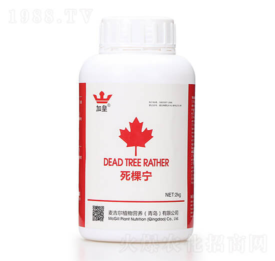 ���Ì����������ã� �G�ʼt��