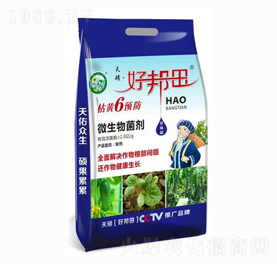 ���S6�A�� �ð��� ��T