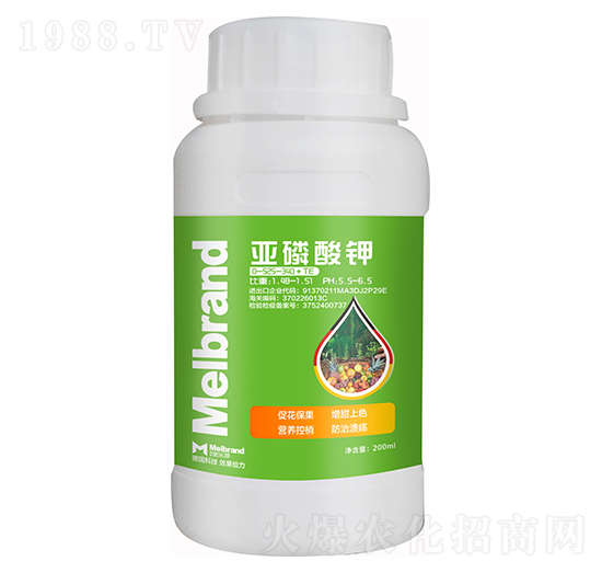 200mlֲ�����߄� ������� ������