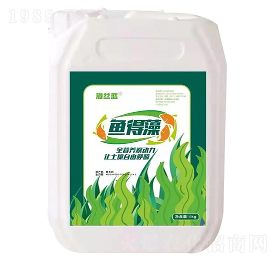 魚得藻 海絲藍(lán)