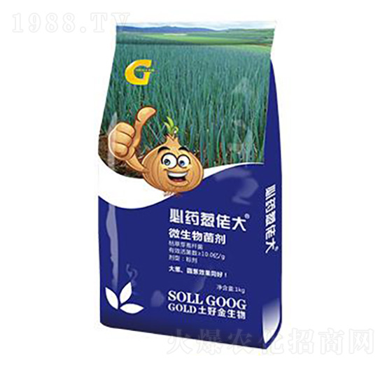 1kg蔥佬大 土好金