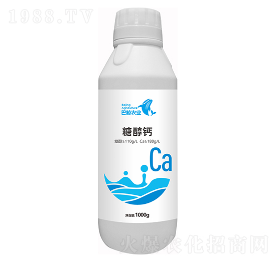 �Ǵ��} ���L�r�I(y��)