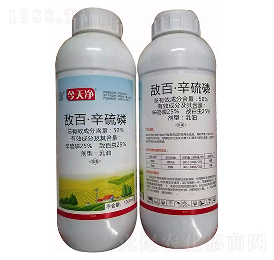 50%���١������� ����� ������