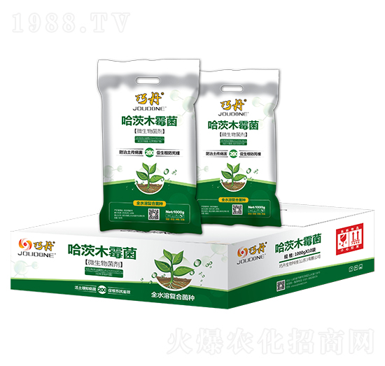 ����ľù�� �ɵ� �f��ȵ�