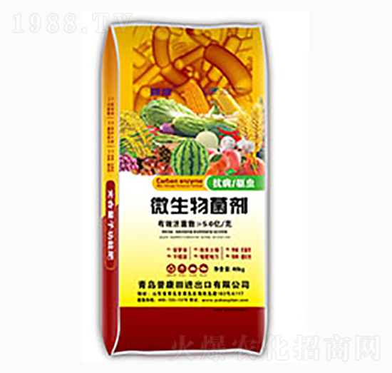 ΢�������-����-�տ���