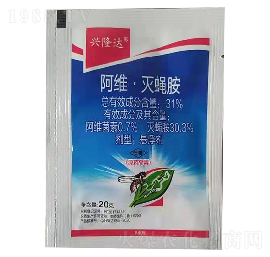 31%���S����ω�� �d¡�_(d��) ��̩����