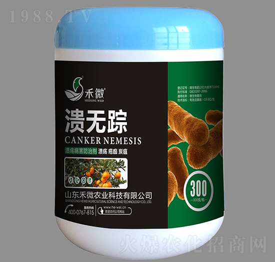 �����������΄�-���o(w��)ۙ-��΢