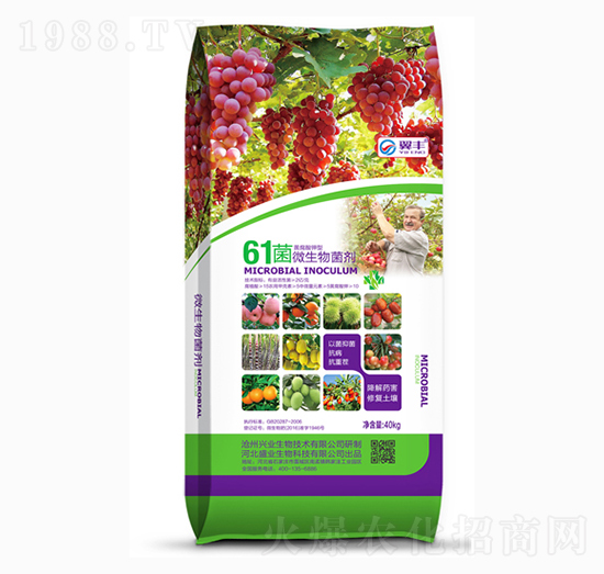 61��΢�������-���S-ʢ�I(y��)