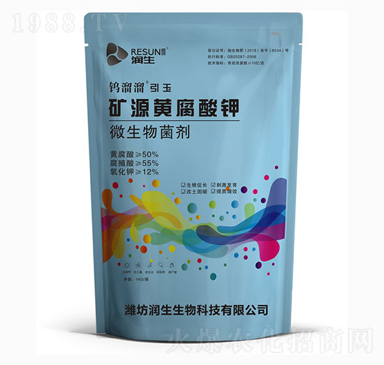 �VԴ�S�����-�u��������-��������