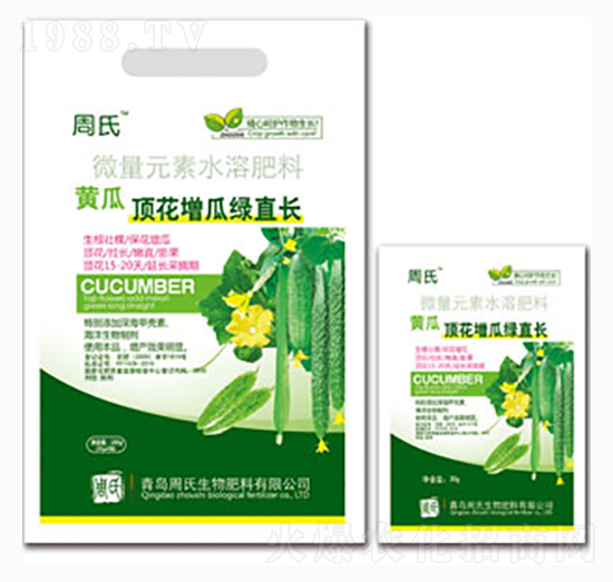 黃瓜頂花增瓜綠直長-周氏農(nóng)化