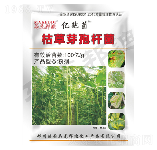 ���ǌ��ÿݲ�ѿ�ߗU��-�|�߾�-�R�˰��